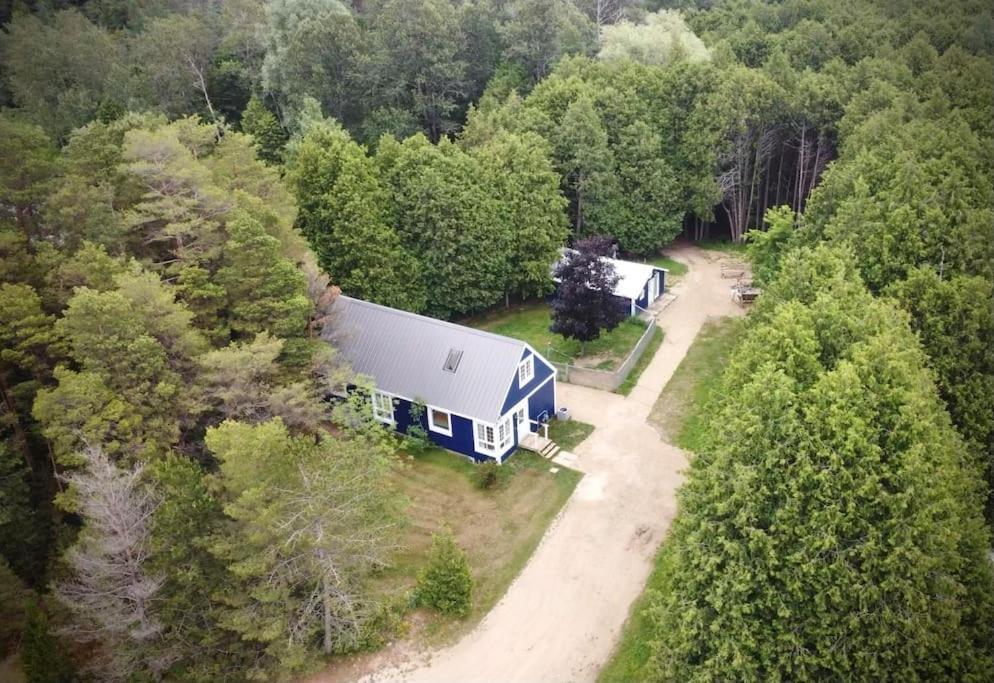 Cottage Retreat On 11 Acres Flesherton Exteriér fotografie